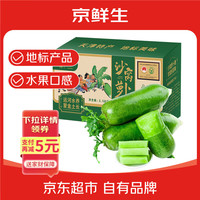 京鲜生 京百味 天津沙窝萝卜2.5kg 地标脆甜水果 火锅食材 年货礼盒