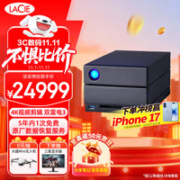 莱斯 雷孜 移动桌面硬盘 48TB 企业级 2big Dock 机械硬盘 Type-C/雷电3/4 双2盘位磁盘阵列 CMR垂直