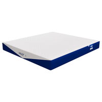 【快充小蓝钻】梦百合记忆棉床垫独立弹簧护脊硬垫家用卧室席梦思 快充小蓝钻【偏硬睡感/支撑更强】-22cm 180*200cm