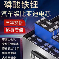 椁俊比亚迪刀片电芯磷酸铁锂电池电动车48v60v72v三四轮车外卖锂电瓶 48V