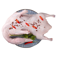 移动端、京东百亿补贴：岽鲜 国产新鲜白条鸭 1000g*2只