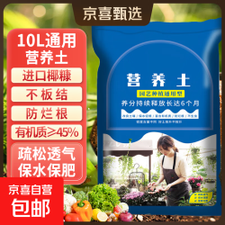 甜沃 营养土养花种菜土壤有机兰花植物盆栽种植椰砖土通用型 通用营养土10L