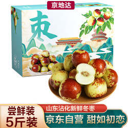 京地达 陕西大荔冬枣 5斤尝鲜装 单果12g+ 新鲜水果 源头直发