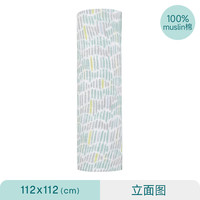 aden+anais adenanais新生儿包被包单初生婴儿纱布巾防惊跳襁褓抱被纯棉浴巾