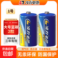 凌力 大号1号电池 燃气灶电池 碳性电池一号电池 适用于热水器/燃气灶/热水器/收音机/手电筒等 R20P