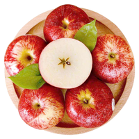 京觅 加力果 特级 大果 单果180-230g 8粒装 礼盒装