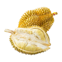 创晟 泰国金枕头榴莲 约5-6斤