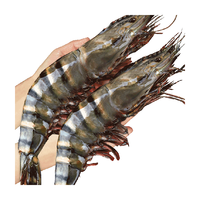 黑虎虾超大老虎虾鲜活冷冻500g*2盒特大斑节虾海鲜水产