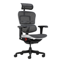 Ergonor 保友办公家具 金豪雄鹰X9 电竞人体工学椅 极光白