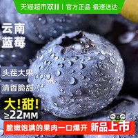 88VIP：寻天果蔬 云南蓝莓正宗国产新鲜蓝莓王巨无霸当季水果自带花香整箱大果