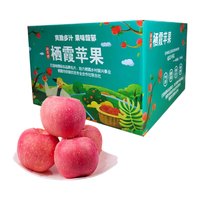 京地达鲜果正传山东烟台栖霞红富士苹果85级9斤大果 精选烟台苹果水果源头直发 红富士精品85级9斤*JD快递