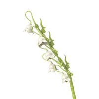 JAKI 佳奇 植物日志系列 JK2625 铃兰