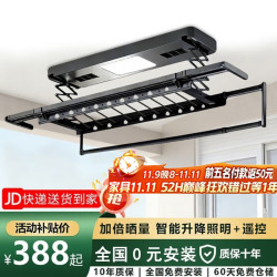 神州风 电动晾衣架阳台语音遥控升降全自动晾衣机智能超薄家用伸缩晾衣杆 曜石黑 A照明