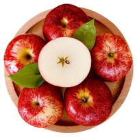 京觅 加力果 特级 大果 单果180-230g 4粒装