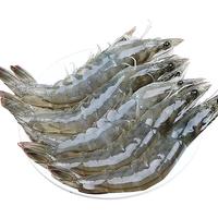 七叶岛国产青岛海捕大虾4斤盐冻大虾装特大号 青虾冻海虾基围虾生鲜 盐冻青岛大虾   4斤装 30-40规格 16-18CM  净重3.3斤