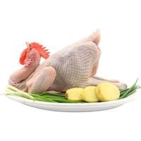  橙小萌 散养 土公鸡  土公鸡1.6-1.8kg x1 1.6-1.8kg ≥1500g