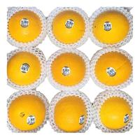 新奇士(Sunkist)橙子 澳洲新奇士脐橙 新鲜水果礼盒生鲜 黑标礼盒大果4斤装 单果180g+