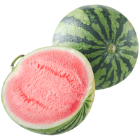 shouhe 无籽西瓜种籽超甜无子水果种籽 潍育系列寿艺无籽西瓜种子20粒