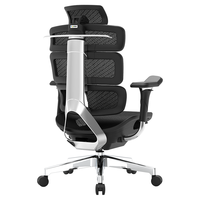 Ergomax 迩高迈思 Evolution2+ 人体工学椅