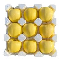 大连黄元帅苹果 5斤整箱