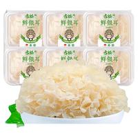 Gusong 古松食品 鲜银耳 6盒 700g