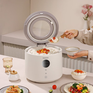 大宇 DYFB-409F 智能预约多功能可视天窗电饭煲 4L