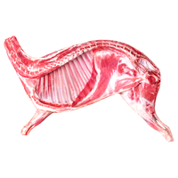 YASEEGO 羊食光 新鲜羊肉 现杀半只10斤乳羔羊