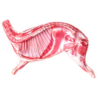羊食光 新鲜羊肉 现杀半只10斤乳羔羊