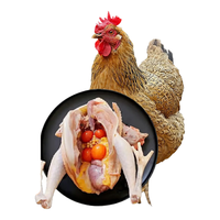 白荡里黄油老母鸡2~2.2斤*2只  走地鸡月子鸡营养滋补食材 源头直发 黄油老母鸡2-2.2斤*2只