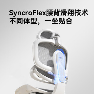西昊C300二代Lite人体工学椅电脑办公椅子人工力学座椅【罗永浩】 云白+滑翔追背+腰枕3档调节+脚踏