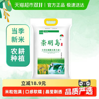 移动端：崇明岛 米大王6号