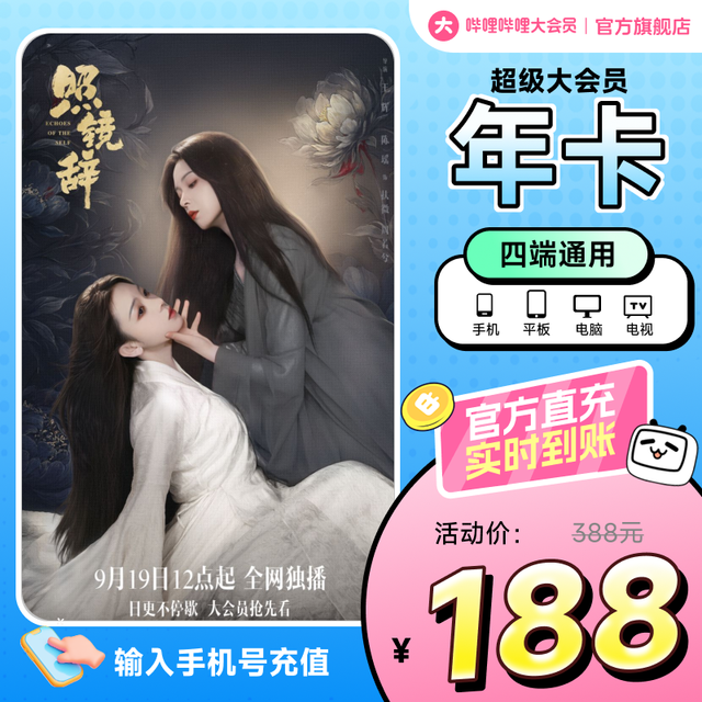 哔哩哔哩 bilibili 超级大会员年卡 B站电视大会员12个月卡