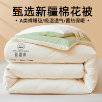 Hodo Men 红豆男装 红豆A类抗菌新疆棉花被子纯棉花被芯宿舍单人冬被加厚棉被双人春秋被 果绿拼白 150 200cm