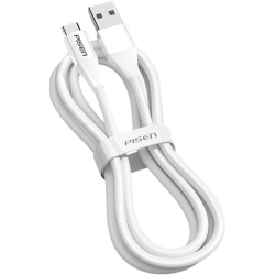 品胜 100W快充 Type-C数据线  Type-C USB-A 100W TPE 6A