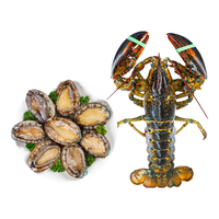 渔传播FISHERY PROPAGATION 鲜活波士顿大龙虾波龙盒装虾类海鲜生鲜组合包鲜到家