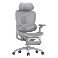 西昊C300二代Lite人体工学椅电脑办公椅子人工力学座椅【罗永浩】 云白+滑翔追背+腰枕3档调节+脚踏