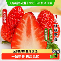 丹东99草莓红颜奶油草莓当季新鲜水果京东空运【详情领优惠】