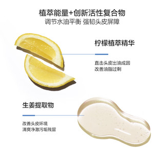 大卫尼斯自然平衡洗发水 1000ml