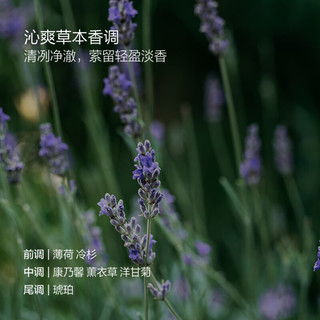 大卫尼斯自然平衡洗发水 1000ml