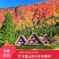 可9人团 日本名古屋飞驒高山白川乡一日游合掌村