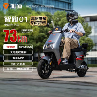 雅迪 智跑01电动自行车智能高配神车大动力外卖车电动车锂电通勤上班代步新国标可上牌