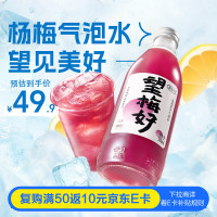 今日必买：好望水 望梅好杨梅汽泡水酸梅汤果汁饮料300ml*6瓶