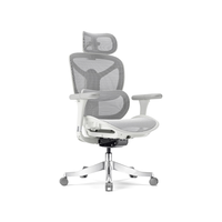 永艺X5Pro撑腰椅人体工学椅电脑椅子护腰可躺人工力学座椅电竞办公椅 X5pro灰色 6D扶手 植绒网