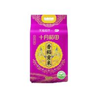 SHI YUE DAO TIAN 十月稻田 香稻贡米5kg东北大米10斤装粳米可做寿司 米饭熬粥农家米