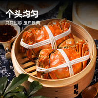 【活蟹】鲜京采鲜活大闸蟹 全公蟹4.5两 4对8只 去绳足重 蟹类螃蟹河蟹生鲜礼盒 