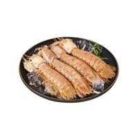海速达熟冻皮皮虾新鲜特大冷冻濑尿虾2kg*1箱海鲜水产琵琶虾爬虾婆虾姑