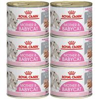 皇家 猫粮 ASA31美短猫粮成猫粮全价猫粮 ASA31美短成猫粮2kg