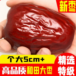 疆域名珠 红枣特级新疆和田大枣新货特大红枣干枣子无核一级特产官方旗舰店