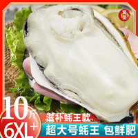 蜀皇 乳山生蚝 蚝王 鲜活牡蛎海蛎子10斤大6XL号12只源头直发包 邮