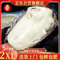 蜀皇 乳山生蚝鲜活特大牡蛎海蛎子5斤2XL(18-28只)只源头直发包 邮